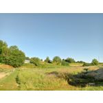 来自这款手机的图片