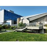 FOTO FATTE CON QUESTO TELEFONO