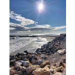 FOTO FATTE CON QUESTO TELEFONO