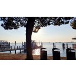 LAS FOTOS HECHAS CON ESTE TELÉFONO