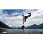 LAS FOTOS HECHAS CON ESTE TELÉFONO