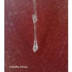 IMAGENS DESTE TELEFONE