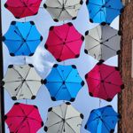 來自這款手機的圖片