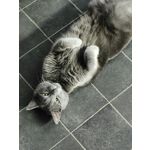 來自這款手機的圖片