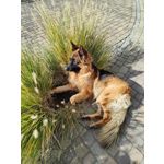 FOTO FATTE CON QUESTO TELEFONO