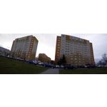 来自这款手机的图片