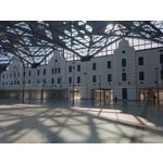 用戶照片 Oppo Reno 2