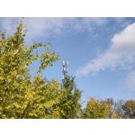 用戶照片 Oppo Reno 2