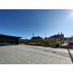 用戶照片 Oppo Reno 2