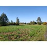 用戶照片 Oppo Reno 2