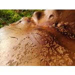 用戶照片 Oppo Reno 2