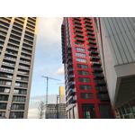 用戶照片 Oppo Reno 2