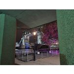 用戶照片 Oppo Reno 2