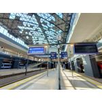 用戶照片 Oppo Reno 2