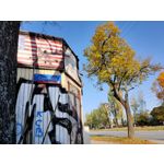 用戶照片 Oppo Reno 2