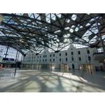 用戶照片 Oppo Reno 2