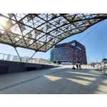 用戶照片 Oppo Reno 2