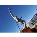 用戶照片 Oppo Reno 2