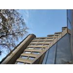 用戶照片 Oppo Reno 2