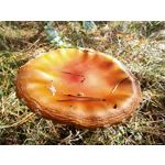 用戶照片 Oppo Reno 2