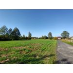 用戶照片 Oppo Reno 2