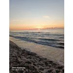 PICTURES FROM THIS PHONE