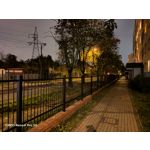 PICTURES FROM THIS PHONE