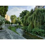 来自这款手机的图片