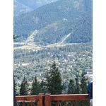 来自这款手机的图片