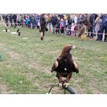 Foto's van de gebruikers Oppo Reno Z