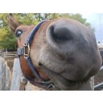 Foto's van de gebruikers Oppo Reno Z