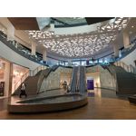 Foto's van de gebruikers Oppo Reno Z