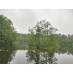 FOTO FATTE CON QUESTO TELEFONO