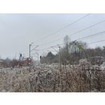 Pictures by this phone Oppo A6 Pro 5G CPH2781 Pictures by this phone Oppo A6 Pro 5G CPH2781