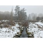 Pictures by this phone Oppo A6 Pro 5G CPH2781 Pictures by this phone Oppo A6 Pro 5G CPH2781