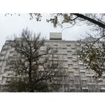 Pictures by this phone Oppo A6 Pro 5G CPH2781 Pictures by this phone Oppo A6 Pro 5G CPH2781