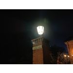 Pictures by this phone Oppo A6 Pro 5G CPH2781 Pictures by this phone Oppo A6 Pro 5G CPH2781