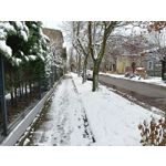 Pictures by this phone Oppo A6 Pro 5G CPH2781 Pictures by this phone Oppo A6 Pro 5G CPH2781