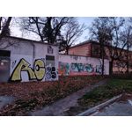 Pictures by this phone Oppo A6 Pro 5G CPH2781 Pictures by this phone Oppo A6 Pro 5G CPH2781