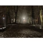 Pictures by this phone Oppo A6 Pro 5G CPH2781 Pictures by this phone Oppo A6 Pro 5G CPH2781