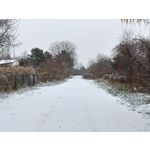 Pictures by this phone Oppo A6 Pro 5G CPH2781 Pictures by this phone Oppo A6 Pro 5G CPH2781