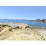 來自這款手機的圖片