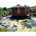 IMAGENS DESTE TELEFONE