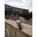 來自這款手機的圖片