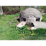 用户照片 Oukitel WP12 Pro