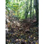 IMAGENS DESTE TELEFONE