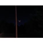 來自這款手機的圖片