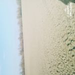 FOTO FATTE CON QUESTO TELEFONO