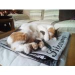 来自这款手机的图片