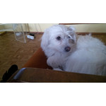 IMAGENS DESTE TELEFONE